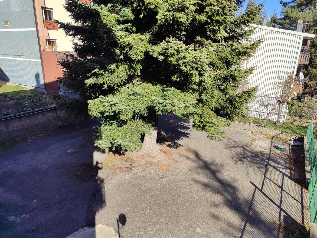 Madresila Home Camigliatello Silano Buitenkant foto